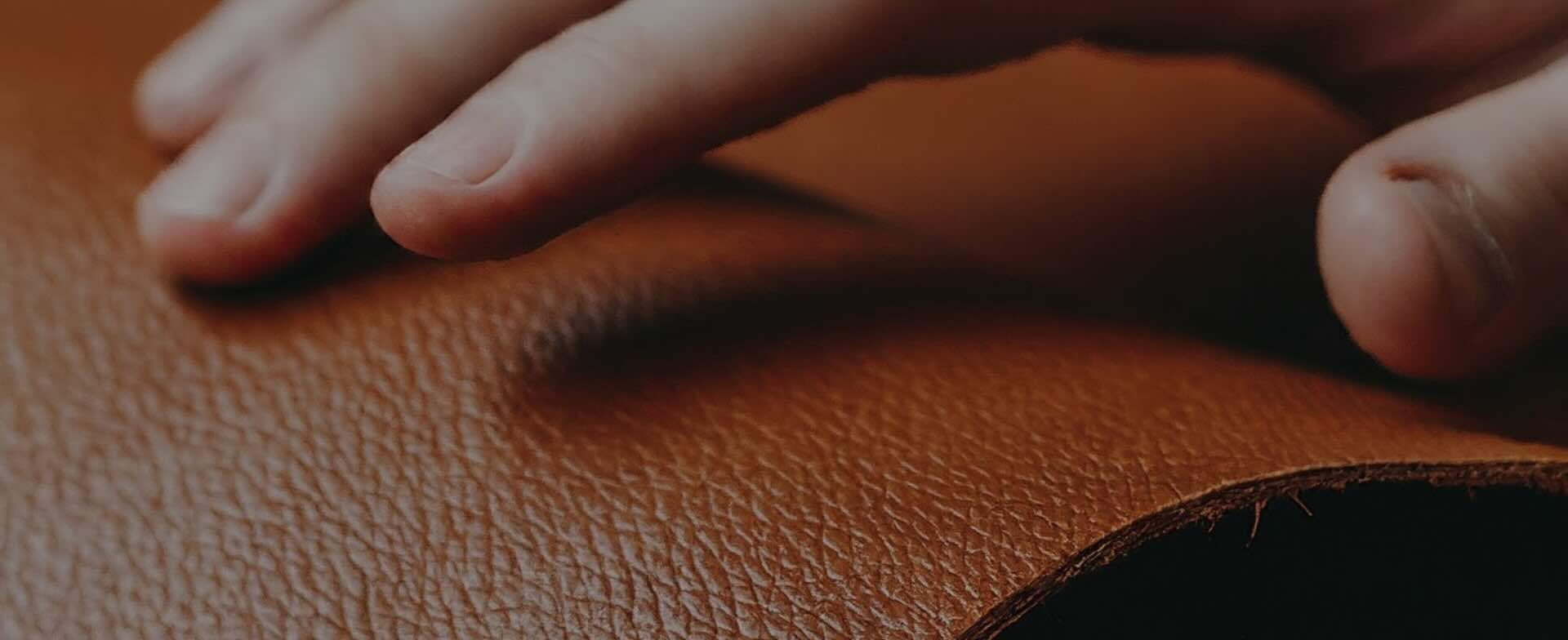 banner-image-